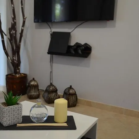 Luxury Apartment