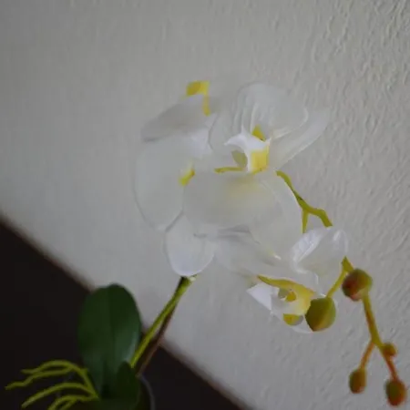 Luxury Nea Poteidaia